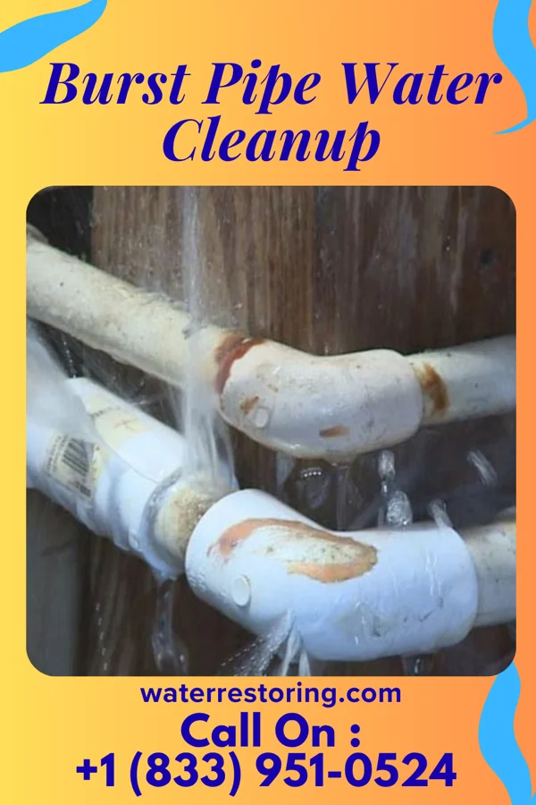 Burst Pipe Water Cleanup in Summit, SD