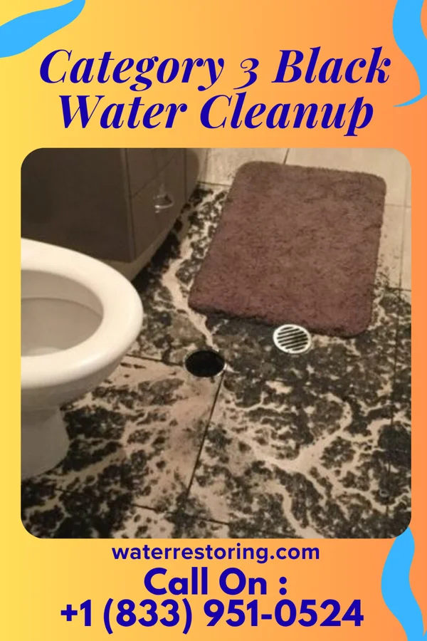 Category 3 Black Water Cleanup in Summit, SD