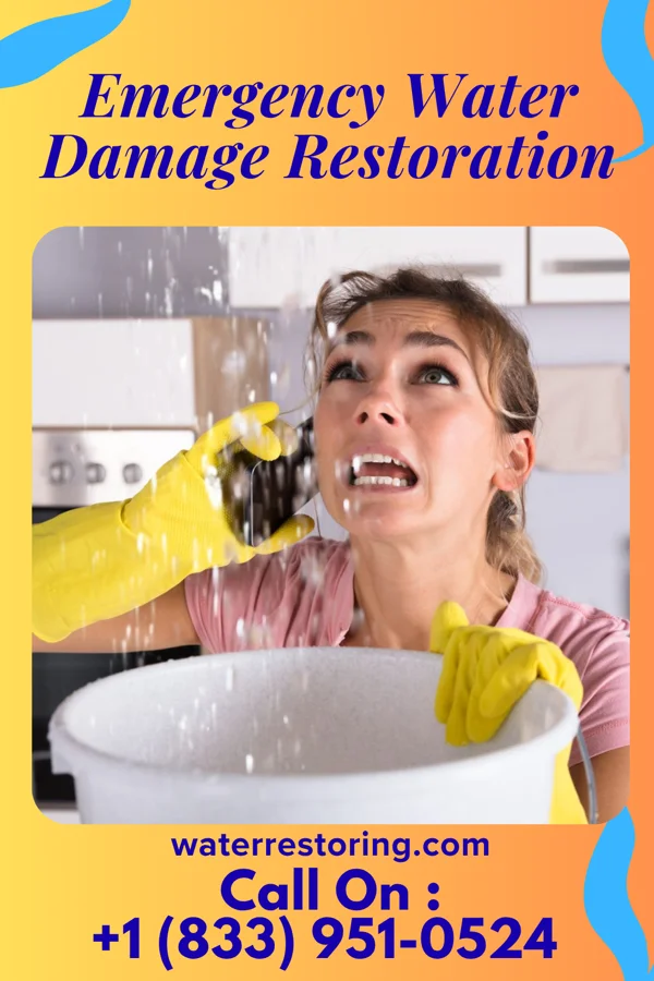 Emergency Water Damage Restoration in Summit, SD