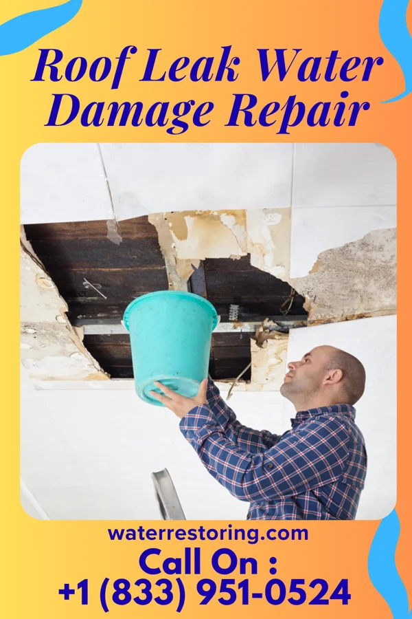 Roof Leak Water Damage Repair in Summit, SD