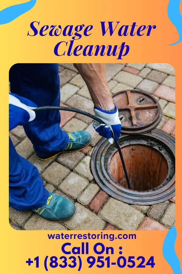 Sewage Water Cleanup in Summit, SD