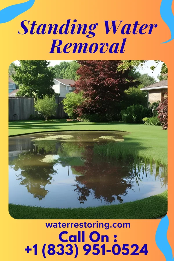 Standing Water Removal in Summit, SD